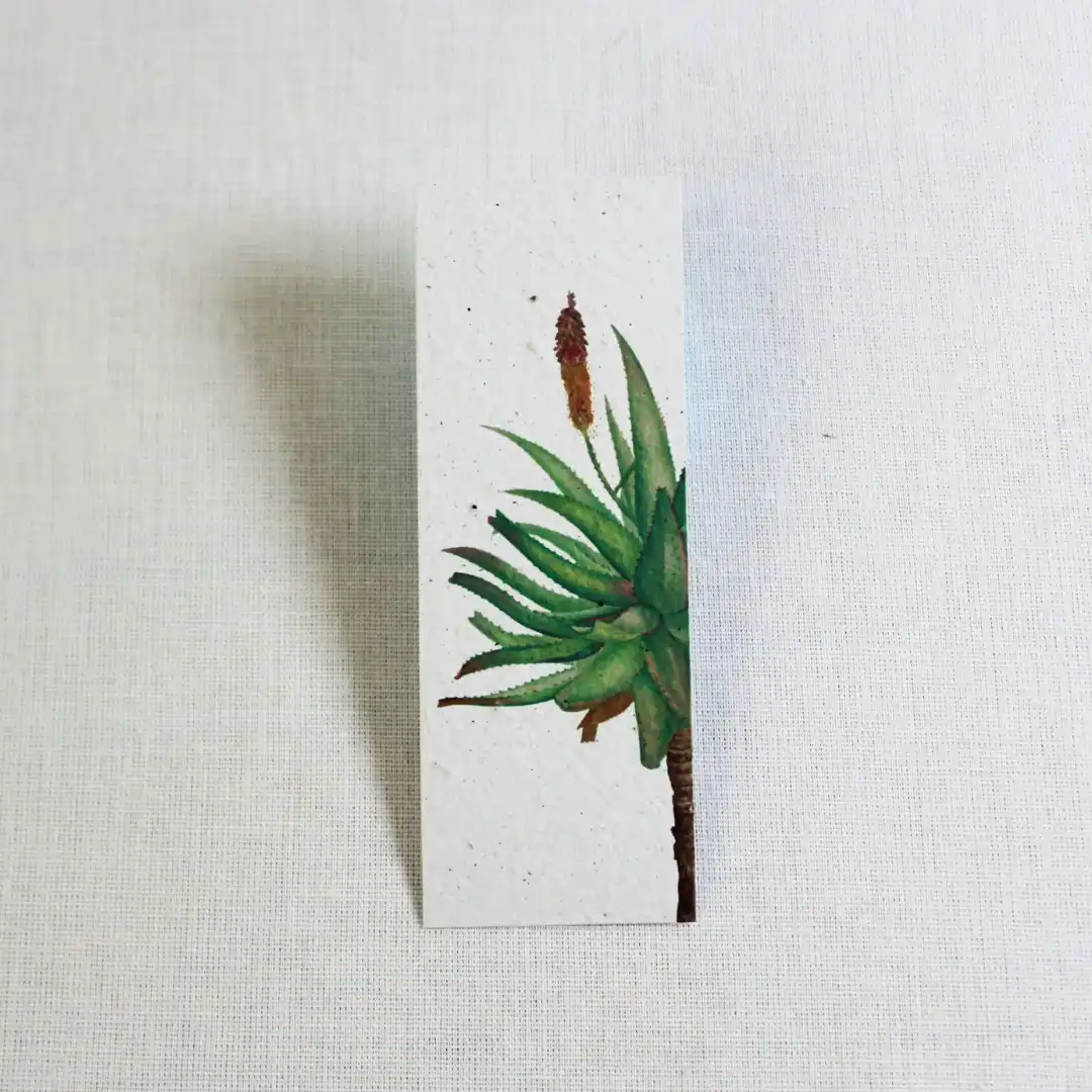 bookmark aloe