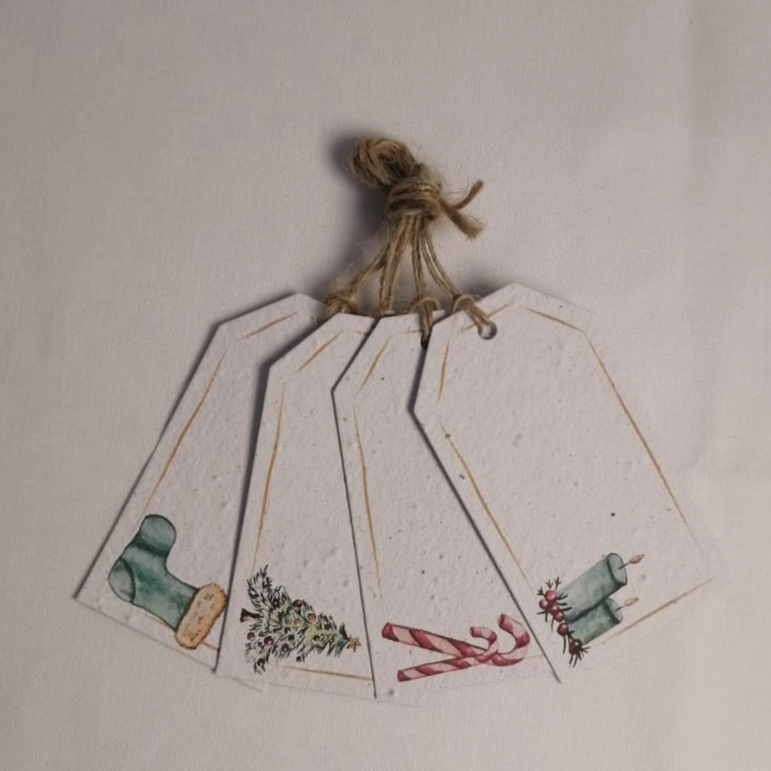 Greeting Cards - Shop