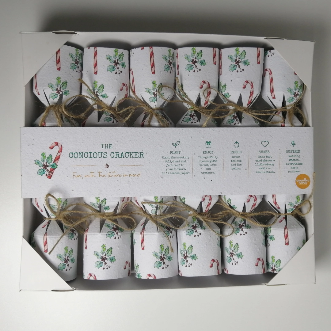 The Conscious Crackers Candy cane print