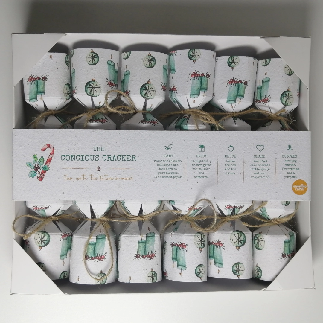 The Conscious Crackers Christmas crackers