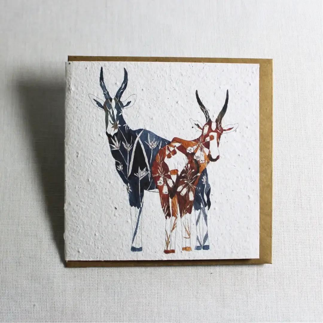 greeting card bontebok with red grass and bontebok heath