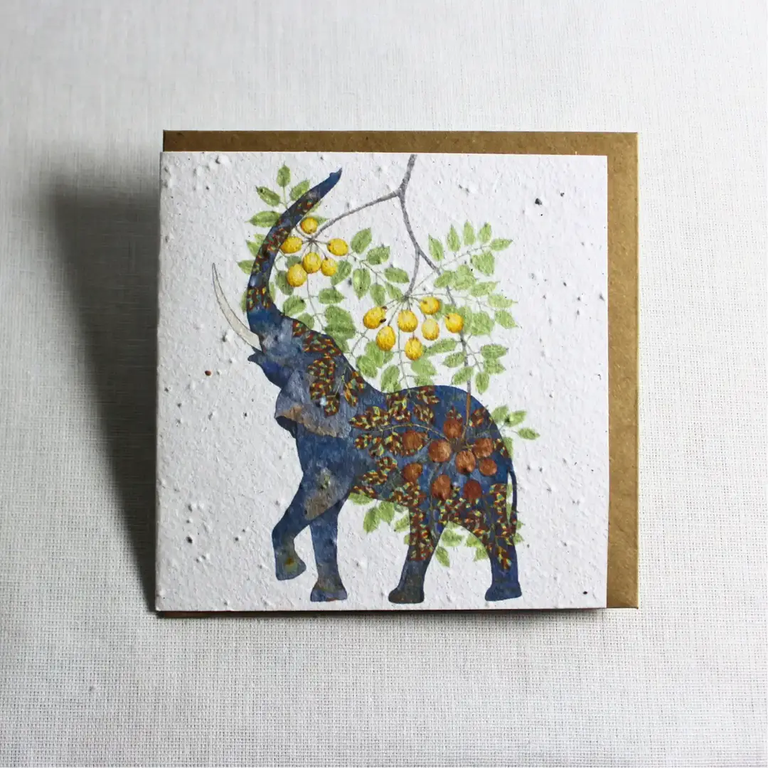 greeting card elephant & marula