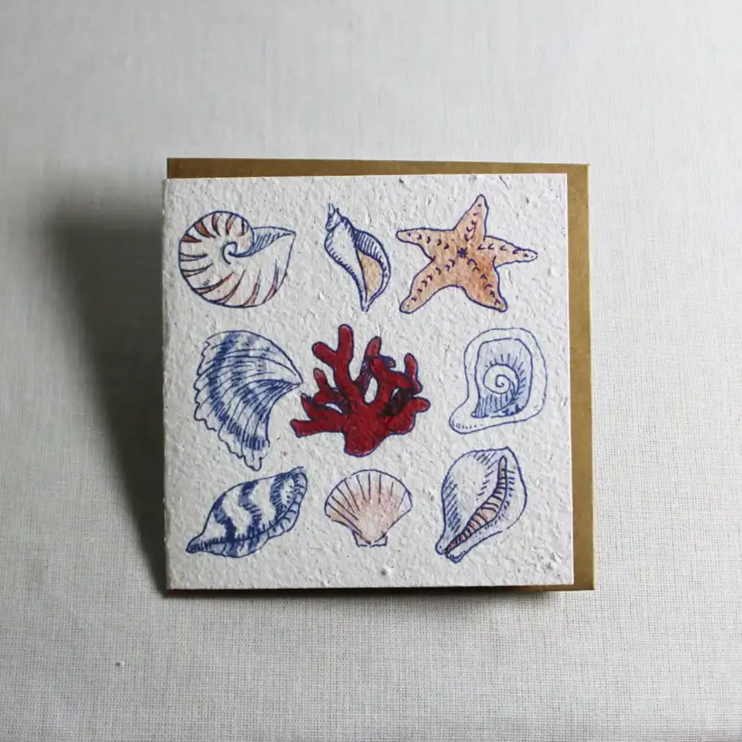 greeting card shells