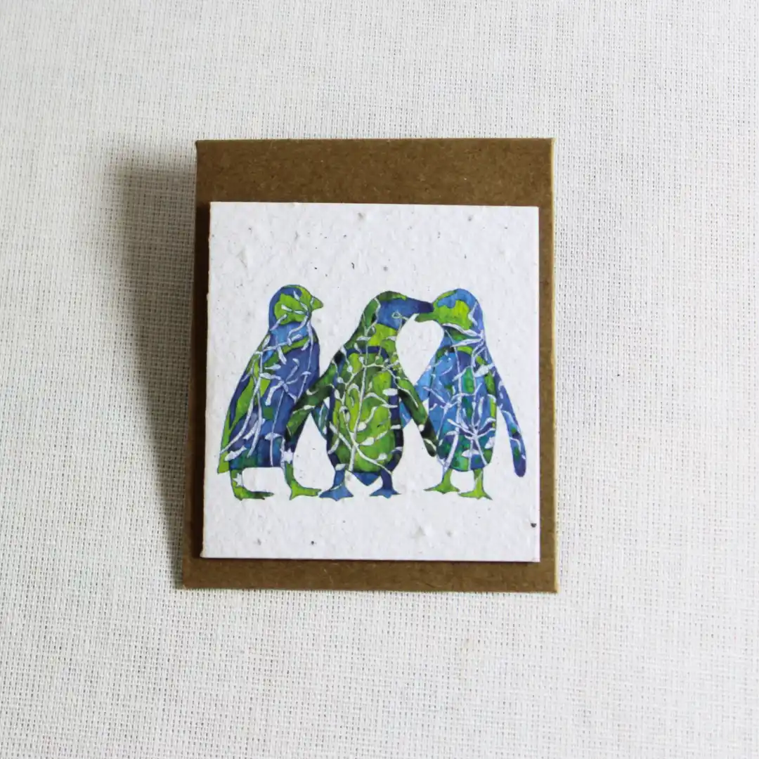 mini card african penguin & kelp forest