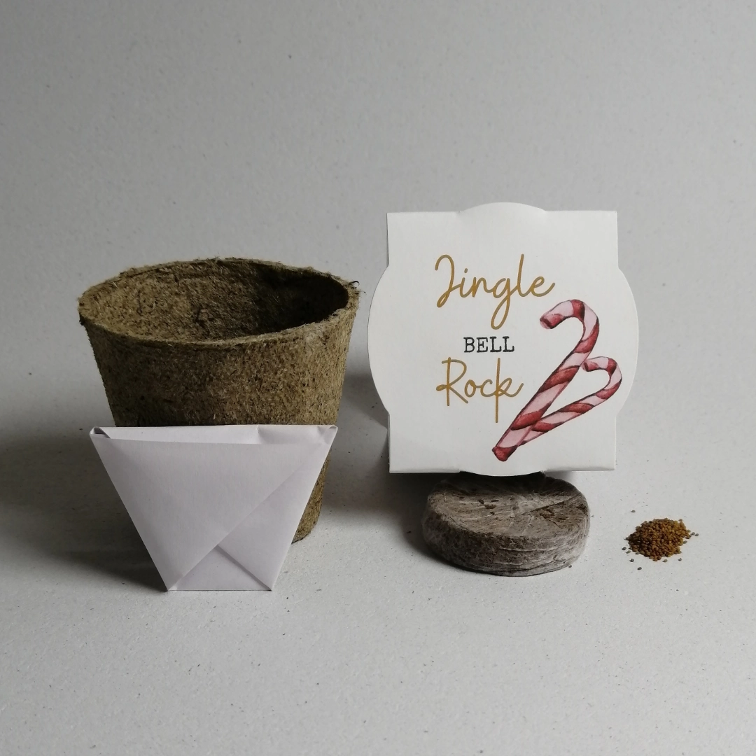 Christmas seedkit Jingle Bell Rock