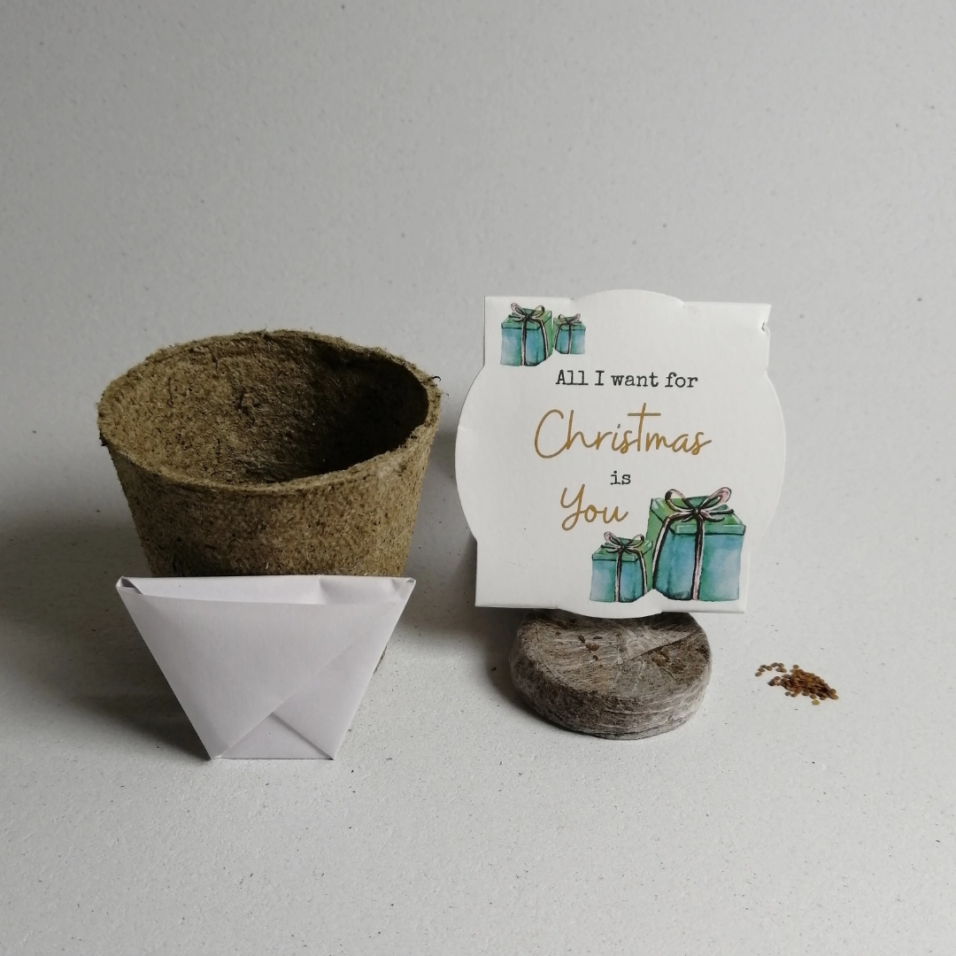 All I want for Christmas is you seedkit