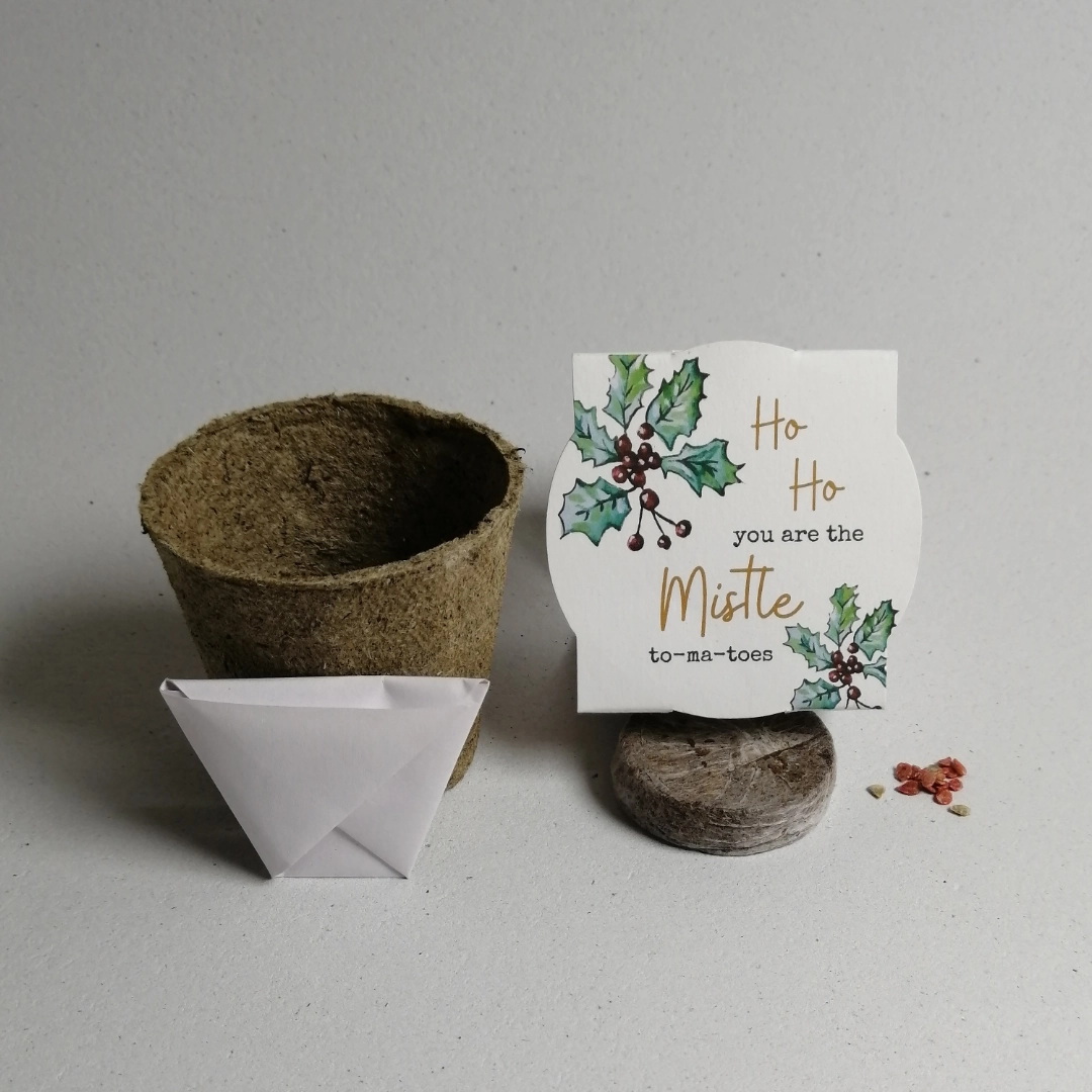 Ho ho you are the mistle to ma toes Christmas seedkit