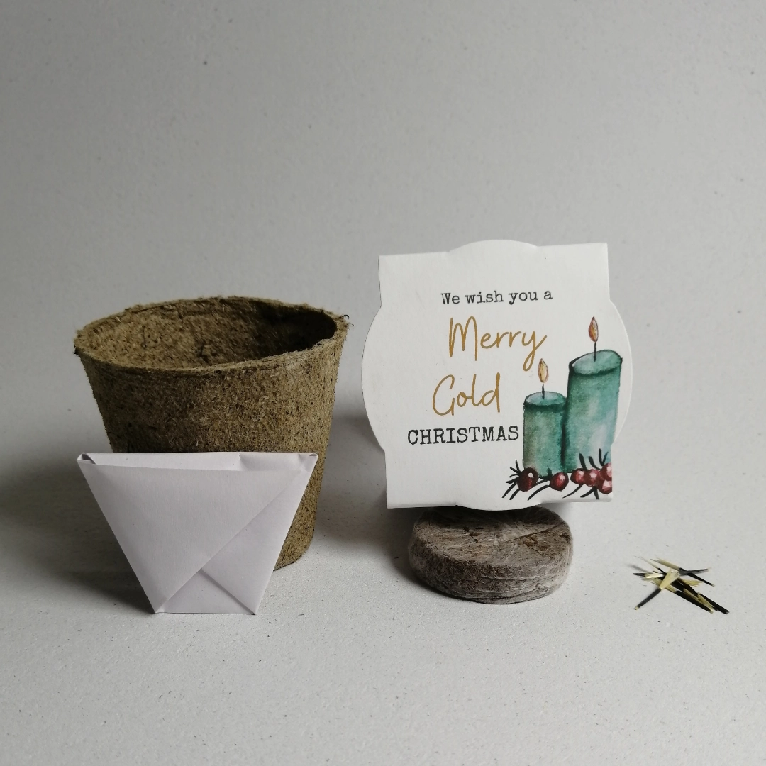 We wish you a marigold Christmas seedkit